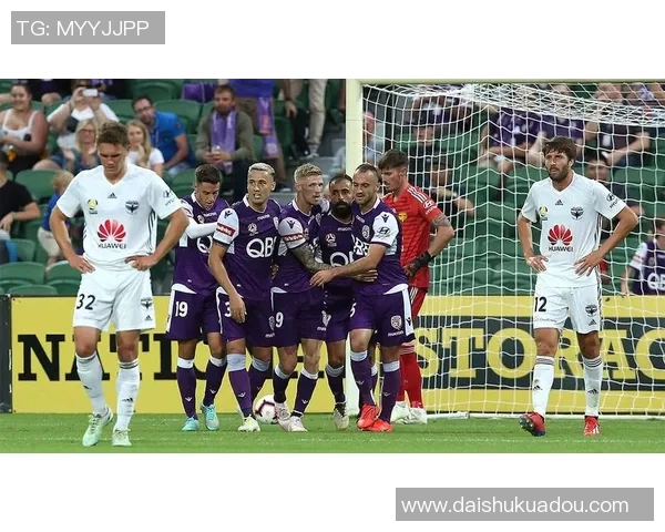 2017年西悉尼对阵惠灵顿精彩赛事回顾与分析 2017年西悉尼对阵惠灵顿精彩赛事回顾与分析