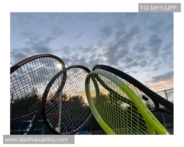 西安网球队在欧锦赛中的精彩表现与状态分析