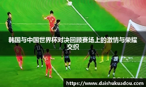 三亿体育