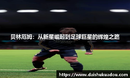 三亿体育官网